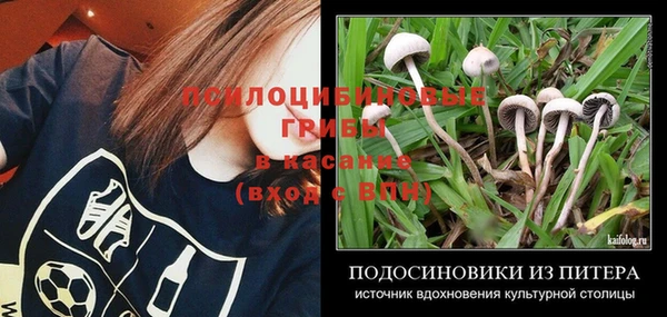 ALPHA-PVP Богородск