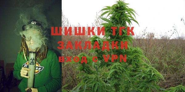 соль ск Богородицк